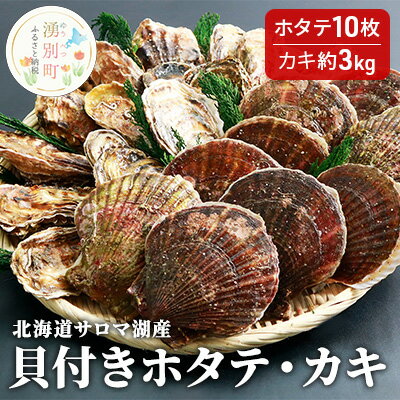 【ふるさと納税】【国内消費拡大求む】先行予約 北海道サロマ湖産　貝付きホタテ10枚・カキ約3kg 魚貝類 かき 帆立 ほたて 海鮮 生牡蠣 牡蠣 　お届け：2025年11月～2026年1月中旬頃まで