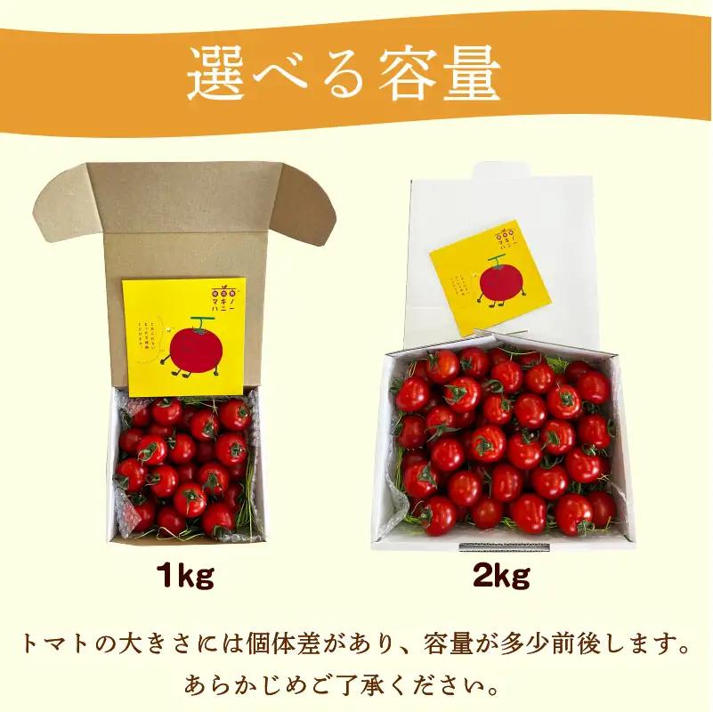 【訳あり】トマト 1kg 中玉 マキノハニー 枝完熟  静岡県 牧之原市 トマトップ