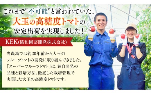 《 2027年 収穫分 》2～6月配送 スーパーフルーツトマト 中箱 約1.2kg × 1箱 (12～18玉/1箱) 糖度9度以上 先行予約 茨城県 桜川市 KEK 国産 トマト フルーツトマト ブラ