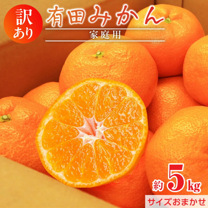 【ふるさと納税】【2026年先行予約】 訳あり 有田みかん 約5kg ご家庭用 サイズおまかせ みかん 甘み 酸味 柑橘 温州みかん お取り寄せ フルーツ 果物 おやつ デザート 和歌山県 湯浅町 送料無料