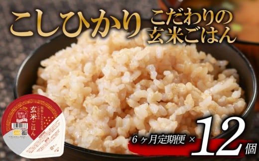 定期便 6回 こしひかり 玄米ごはんパック 120g 12個 玄米 米 お米 ごはん ご飯 こめ パックライス パックご飯 パックごはん ご飯パック ごはんパック パック ライス 備蓄 保存 非常 防災 電子 レンジ 温めるだけ レンチン 簡単 健康 ダイエット 美容 ヘルシー 12 12食 レトルト インスタント genmai gohan kome KOME GENMAI
