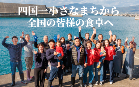 たっぷり！しらすピザ（和風×2・トマト×2）　計４枚≪カネアリ水産≫ 
