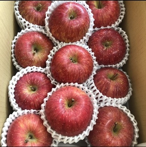 秋田県産 りんご ふじ 3kg 最高の甘味と香り 産地直送【BARUバイオジャパン吉村(株)】[B1-9904]