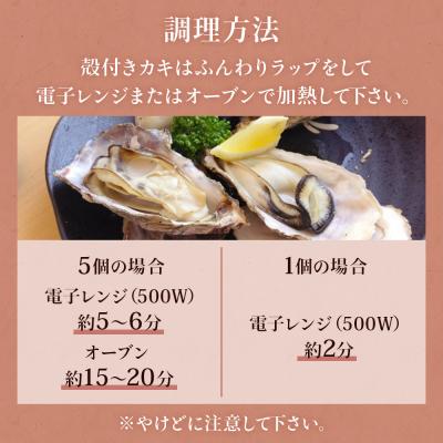 ふるさと納税 石巻市 牡蠣むき身500gと殻付き牡蠣6個のお楽しみセット 牡蠣 かき カキ むき身 殻付き |  | 02