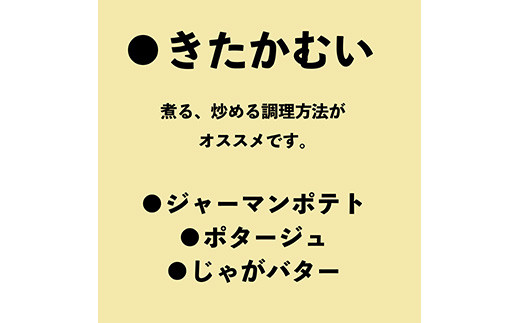 北海道ニセコ産！2023若山農産のきたかむい Sサイズ　5kg【26005】