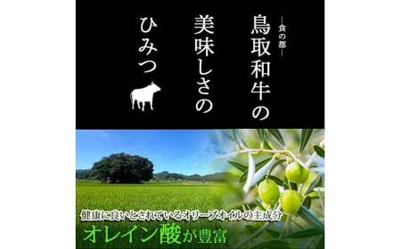 KA16：A4ランク以上鳥取和牛　肩ロース500g