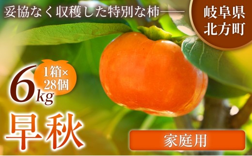 【訳あり品】 早秋 柿 28個／6kg ( 1箱 ) 先行予約 令和8年10月中旬順次発送 |【希少柿を贅沢に楽しむ】 柿 早秋 フルーツ 果物 完熟 国産 国産 季節の果物 家庭用 自宅用 訳 あり わけあり 加工用 料理用 大容量 岐阜県 本巣郡 北方町