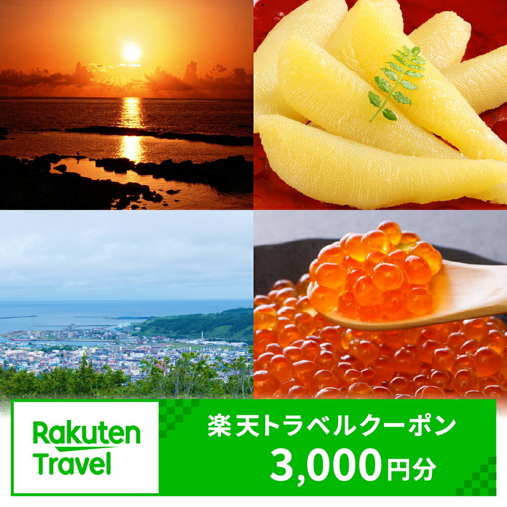 【ふるさと納税】北海道留萌市の対象施設で使える 楽天トラベルクーポン 寄付額10,000円 (クーポン3,000円) 北海道 宿泊 宿泊券 ホテル 旅館 旅行 旅行券 観光 トラベル チケット 旅 宿 券