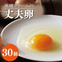 【ふるさと納税】高橋ファームの丈夫卵30個入り(AQ002)