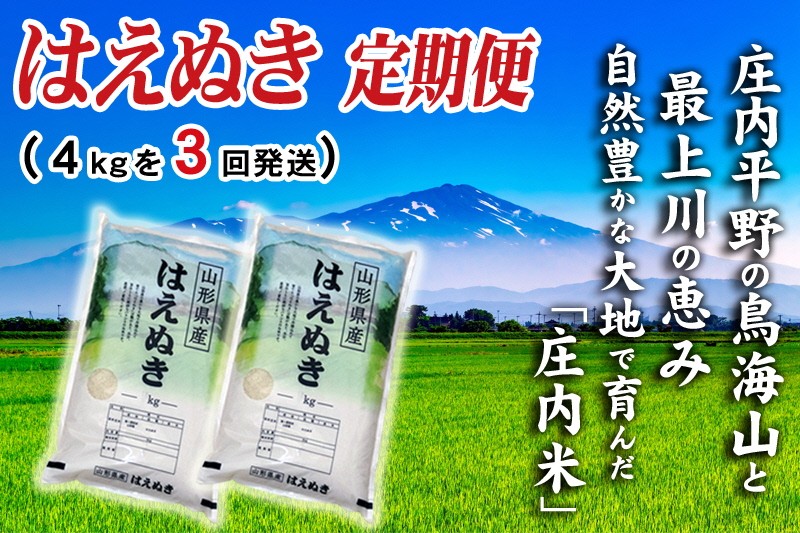 
                  【3回定期便】令和7年産 ［精米］ はえぬき　4kg×3回(計12kg) SI SE0613
                