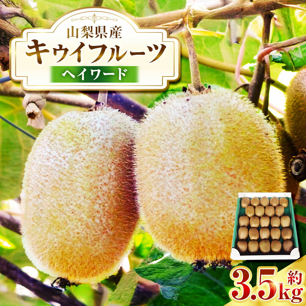 【ふるさと納税】キウイフルーツ ヘイワード 約3.5kg キウイ フルーツ 果物 くだもの 食物繊維 朝ごはん 朝食 国産 山梨県産 送料無料 【2026年10月下旬-11月下旬発送予定】