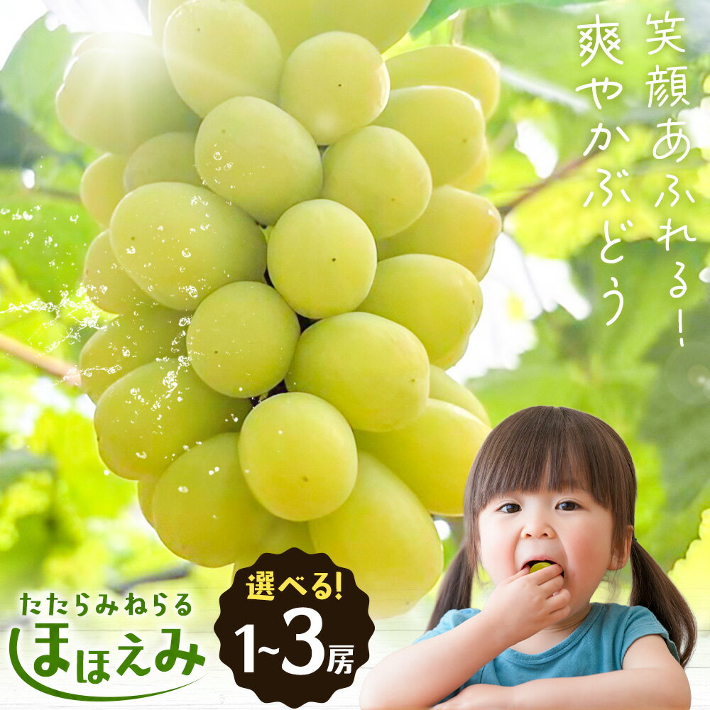 【ふるさと納税】【先行予約】たたらみねらる ほほえみ 選べる 1房(約650g) 2-3房(約1.3kg) Y＆G．ディストリビューター株式会社《2026年8月中旬-10月上旬頃出荷》岡山県 笠岡市 果物 フルーツ ブドウ お取り寄せフルーツ シャインマスカット の交配品種