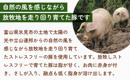 放牧豚 加工品セットD 富山県 氷見市 ポーク 肉 ウインナー ソーセージ ベーコン ボローニャ