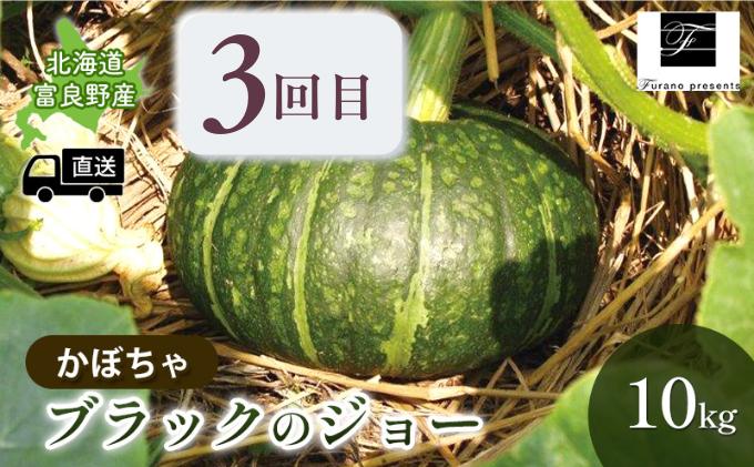 【年3回定期便】【2025年7～10月お届け】高品質 フラノプレゼンツ が贈る 青肉 メロン 野菜 大満足 詰め合わせ 定期便 (メロン とうもろこし かぼちゃ 北海道 富良野市 野菜 果物 フルーツ