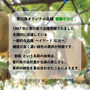 濃厚な甘み！ 香緑キウイ 約1.4kg 香緑 キウイ フルーツ 果物 【goshiki019】