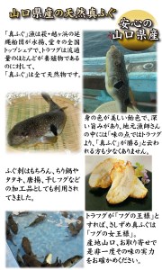 ふぐとあんこうの唐揚げ食べ比べセット AU229-NT
