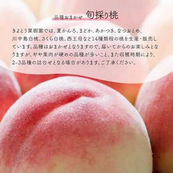 【厳選品】旬の桃(品種おまかせ) 5-8玉 (岡山県産) 【KF-A015-02】