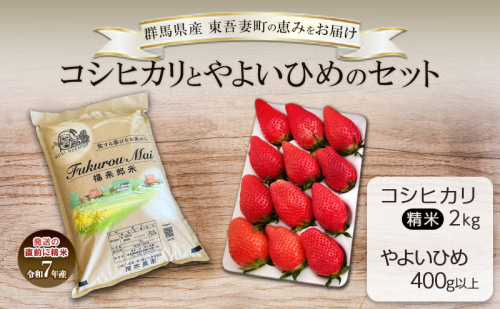コシヒカリ 2kg と やよいひめ 1トレー（400g以上）セット お米 白米 ライス ご飯 ブランド米 銘柄米 お弁当 おにぎり いちご ストロベリー 果物 くだもの フルーツ 群馬県 東吾妻町