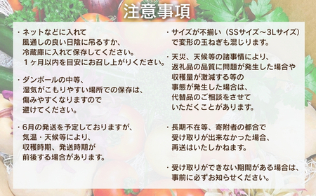 【令和8年度産玉ねぎ先行予約】玉ねぎ 10kg×1箱 ※6月より発送予定