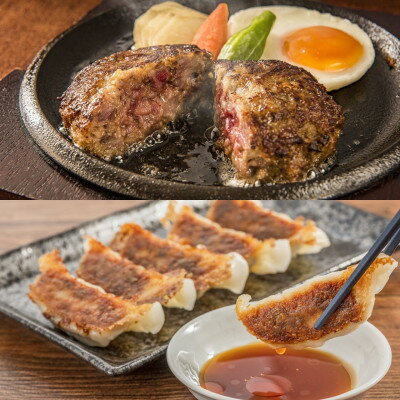 【ふるさと納税】【琉球在来種・無投薬養豚】金城アグーを使用!餃子12個×2P&ハンバーグ120g×4個【配送不可地域：離島】【1731173】