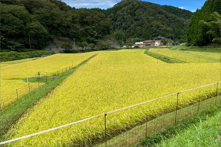 京丹後・野間産　田渕さんちのおいしいお米 個包装 2合×6袋入