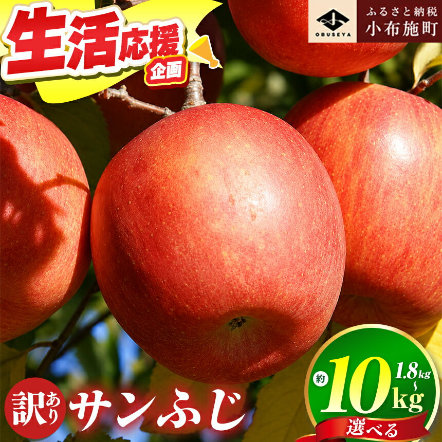 【ふるさと納税】【訳あり】先行予約 サンふじ 選べる内容量 約1.8kg・約3kg・約5kg・約10kg［小布施屋］｜りんご 林檎 不揃い 規格外 家庭用 長野県 小布施町 令和8年産【2026年11月～2027年3月発送】
