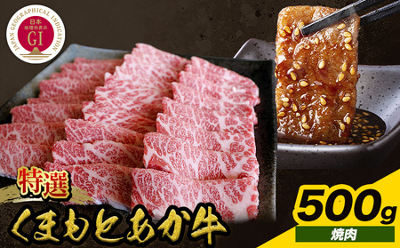 厳選 GI認証 くまもと あか牛 特選 焼肉 500g 桜屋《30日以内に出荷予定(土日祝除く)》 熊本県 産山村 肉 焼肉 GI認証 送料無料