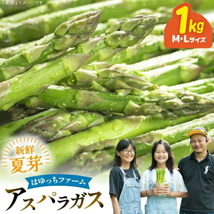アスパラ アスパラガス 夏芽アスパラガス 1kg M L サイズ混合 [はゆっちFARM 長崎県 東彼杵町 hs42bag360000]