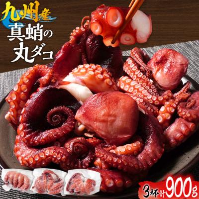 ふるさと納税 古賀市 九州産 真蛸の丸ダコ 3パック | 