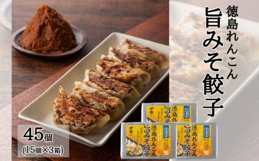 徳島れんこん旨みそ餃子（15個入×3箱）惣菜 冷凍 レンコン 餃子 シャキシャキ 味噌