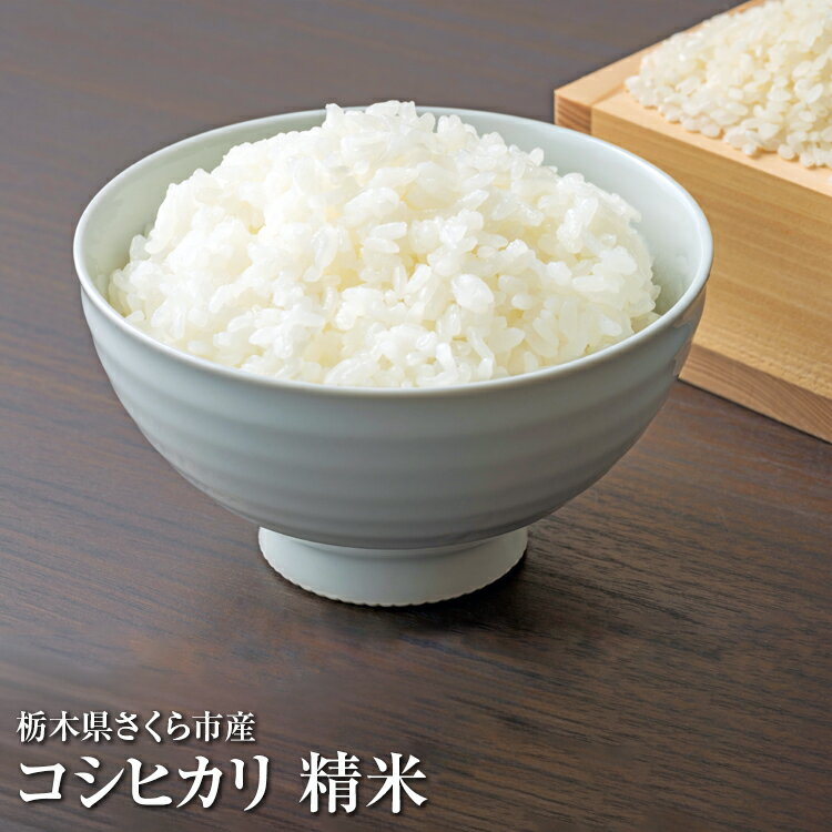 【ふるさと納税】＼選べる内容量／令和7年度　栃木県さくら市産コシヒカリ｜米　白米　コメ　こめ　こしひかり　菜っ葉館※2025年10月中旬頃から順次発送予定