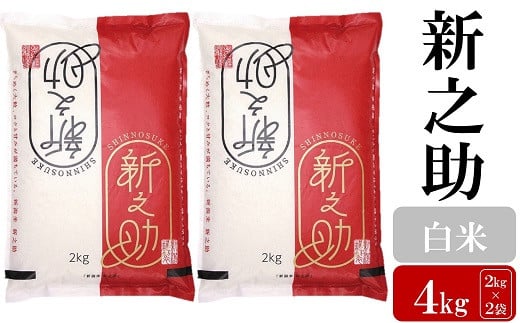 
            【令和7年産新米】 新之助 白米 4kg（2kg×2袋）お米と共に200年の松村商店直送！[Y0169]
          