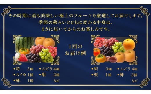 【定期便】 毎月1回連続6か月(計6回)【特選・桐箱2段】極上フルーツ10～12種「極み」セット（茨城県共通返礼品） 定期便 頒布会 田舎の頑固おやじが厳選！ 人気 厳選 果物 くだもの 旬 旬の果物