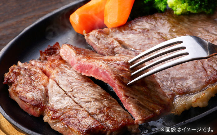 長崎和牛 サーロイン ステーキ サーロインステーキ 冷凍 九州産 焼肉 BBQ 国産 肉類 牛 肉 国産 九州産 ブランド牛 
