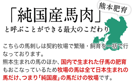 手作りハン馬ーグ 100g×10個 