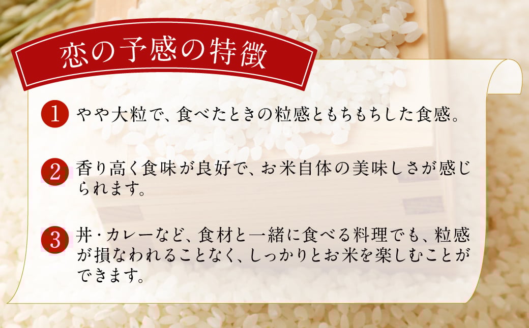 大分県 豊後大野市産 大分県選択銘柄登録品種 「恋の予感」ジオ蔵出し色選米 特別栽培米 10kg (5kg×2袋) 米 精米