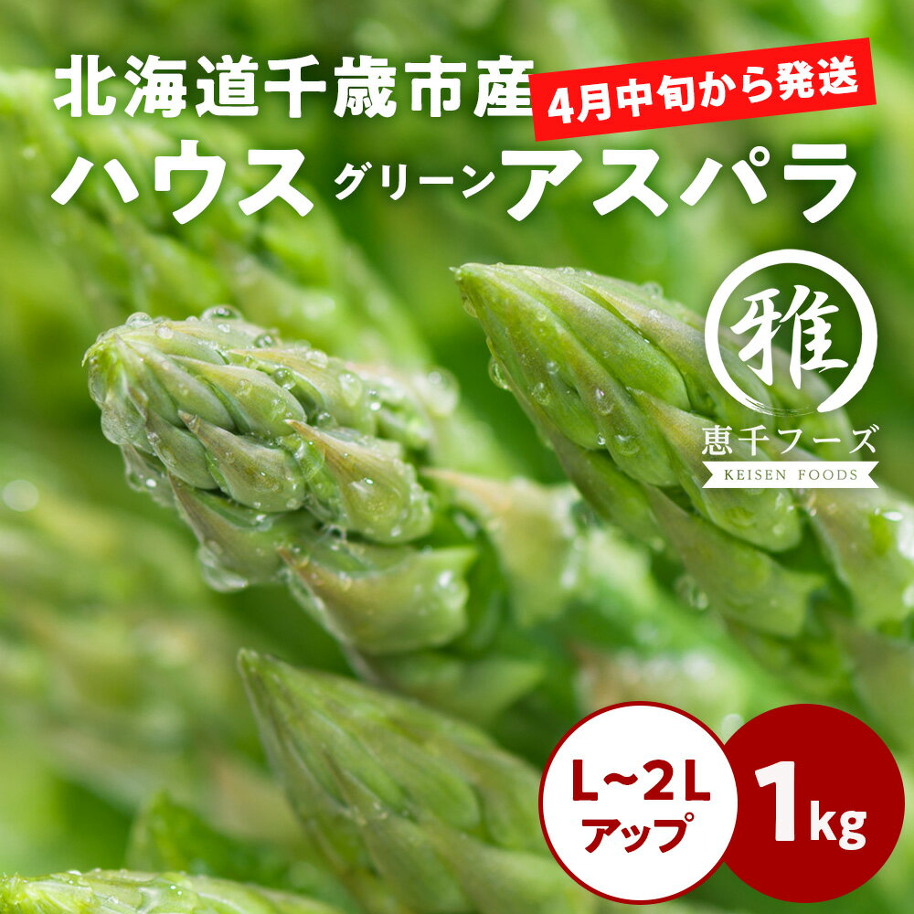 【ふるさと納税】 2026年春発送 ハウスグリーンアスパラ 1kg L〜2Lアップ 北海道千歳産 野菜 アスパラガス アスパラ 2026年4月中旬より順次発送　 北海道ふるさと納税 千歳市 ふるさと納税【北海道千歳市】ギフト ふるさと納税