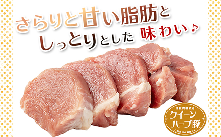 「クイーンハーブ豚」希少部位ヒレ1kg_11-2905_(都城市) 都城産 クイーンハーブ豚 ヒレ肉 200g×5P 豚肉 ブランド豚