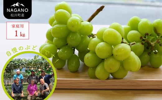 KG17-26A  【先行予約】ぶどう 農家直送 シャインマスカット 家庭用 約1kg／2026年9月下旬頃～配送予定 // 長野県 南信州 松川町 葡萄 ぶどう ブドウ 産地直送 農家直送 シャインマスカット マスカット 種なし 皮ごと  果物 フルーツ 訳あり 家庭用 フードロス