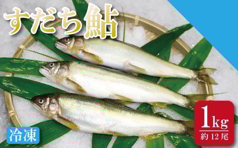 
            すだち 鮎 1kg あゆ 冷凍 すだち果汁 塩焼き 甘露煮 米 お米 ご飯 と一緒に うなぎ 鮭 かつお に負けない 魚 川魚 柑橘 BBQ 酒 つまみ 養殖 徳島
          