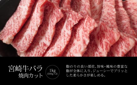 ＜宮崎牛＞バラ＆ロース 焼肉セット 合計1kg ※90日以内出荷【E118】