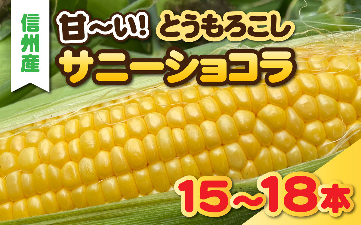 
                  【先行予約】夏の定番　甘ーいとうもろこし　サニーショコラ　15～18本セット【2026年8月より収穫出来次第発送】【 信州産 とうもろこし トウモロコシ コーン 夏野菜 新鮮 甘い 高糖度 】
                