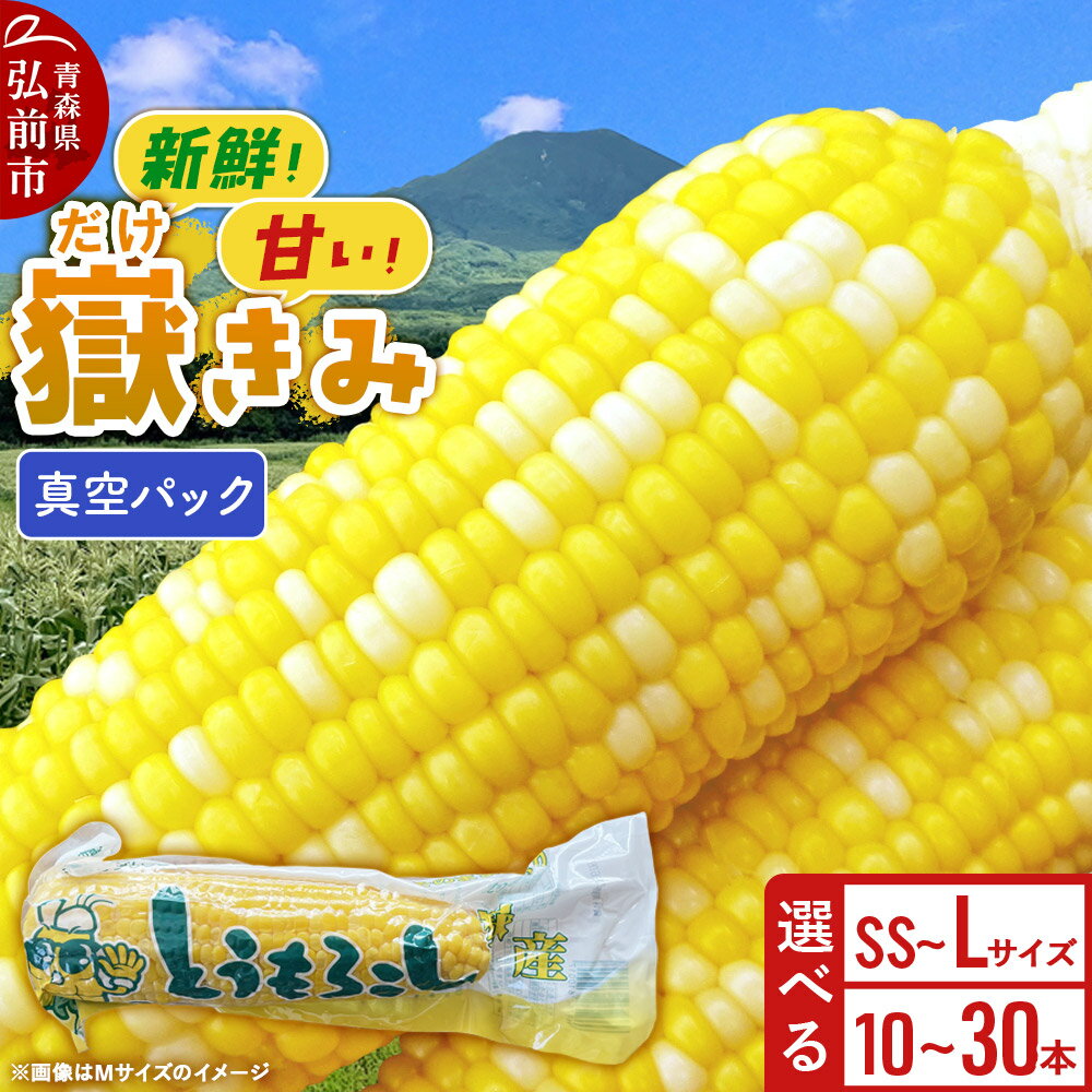 【ふるさと納税】嶽きみ真空パック【選べる本数×サイズ】しらかみラボ