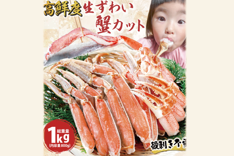 カット済 生本ずわいがに 総重量1kg(内容量800g) ＜ 生食OK ＞  生ずわいがに ずわいがに ずわい蟹 生冷ずわいがに 生ずわい ずわい かに かに足 蟹足 足 かに脚 蟹脚 脚 かに肩 蟹肩 肩 かに爪 蟹爪 爪 かに鍋 蟹鍋 かにしゃぶ 蟹しゃぶ かに刺し 刺身 焼き蟹 焼きガニ 魚介 海鮮