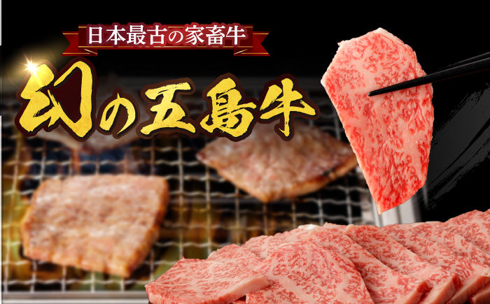 【幻の和牛！とろける肉汁がたまらない…！】 五島牛 特選 カルビ 600g 3人前 【カミティバリュー】 [RBP014]