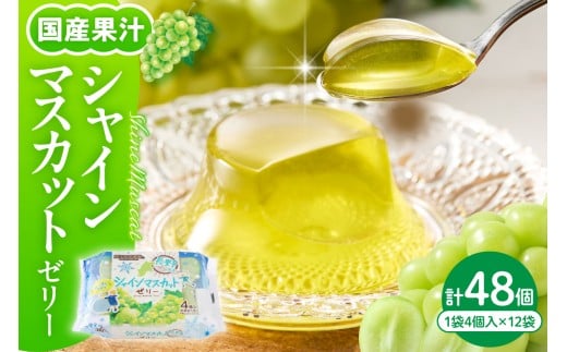 シャインマスカットゼリー1袋4個入×12袋 和歌山産業提供 山形県 東根市 hi070-007