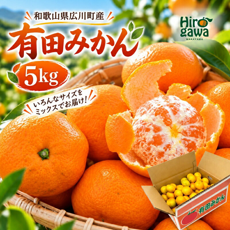 【ふるさと納税】 和歌山県 広川町産 有田 みかん 5kg / 温州みかん ミカン 柑橘 果物 和歌山 ※11月中旬～1月中旬頃に順次発送予定 //mandarin