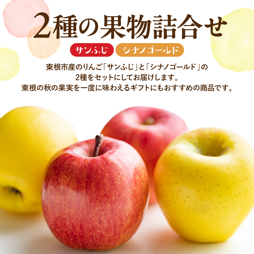 【2026年産】りんご サンふじ&シナノゴールド 詰め合わせ 3kg 秀品 化粧箱入り 山形県 東根市 東根農産センター提供 hi027-208-r8 3kg