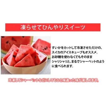 訳あり大玉すいか 1玉(約6kg～9kg)【2027年5月下旬より順次発送予定】(益城町)【1585582】