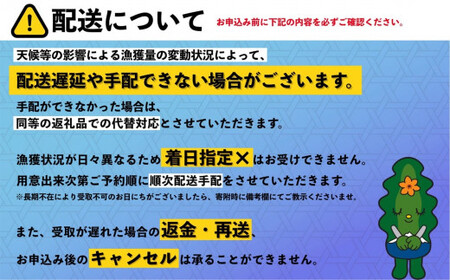 【2026年発送受付】利尻島産「朝どり」塩水生うに320g (80g×4) 天然キタムラサキウニ【6~8月発送分】｜北海道 朝獲れ 塩水 ウニ 無添加 ミョウバン不使用 生 うに 雲丹 国産 天然 利